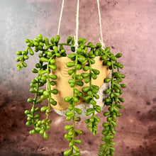 Load image into Gallery viewer, Hanging pottery planters shown with succulents. hanging planter Thrown in speckled buff clay and angle dipped glazed in speckled white. planters are strung with hemp twine and have NO drainage hole. Wheel thrown and handcrafted at Fern Street Pottery