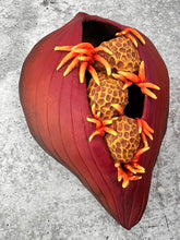Load image into Gallery viewer, artist sculpted seedpods, inspired by nature