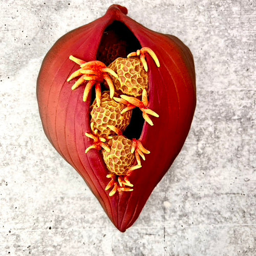 Decorative item resembling a red pod with yellow and orange spider-like creatures on a textured gray background