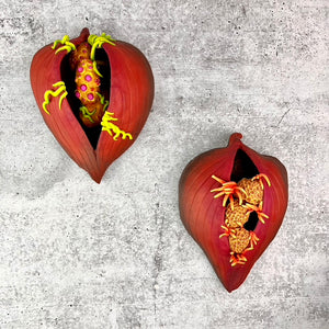 Two red heart-shaped seedpod sculpture wall hangings with seeds sprouting and emerging