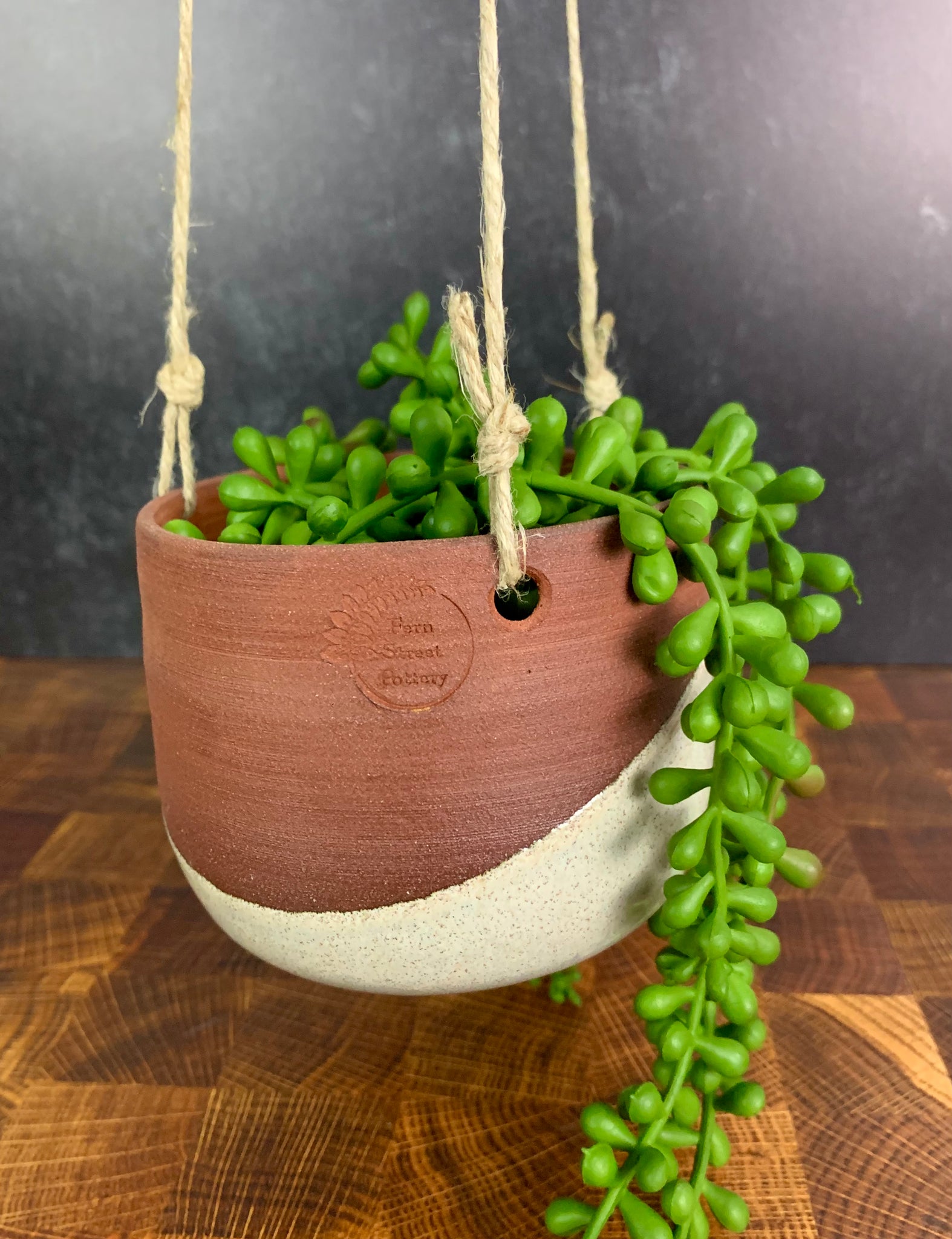succulent hanging planter Hanging Planter Pot – Fern Street Pottery