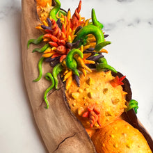 Load image into Gallery viewer, detail image of my Seed Pod Sculpture, &quot;Sprouting Pod&quot;. Sculpted from stoneware it shows the dry outer husk in contrast with the vibrant blooming seeds which are growing and sprouting from within.