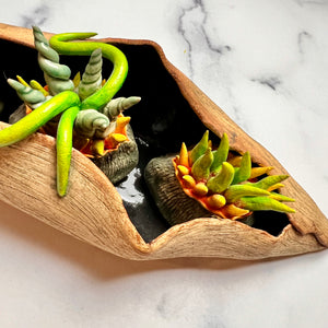 detail image of my Seed Pod Sculpture, Pods within Pod. Sculpted from stoneware it shows the outer husk  around the inner blooming seed pods which are rich and vibrant in color, coming to life.
