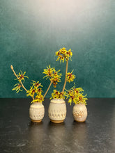 Load image into Gallery viewer, a collection of three small bud vases with witch hazel cuttings blooming in them. the vases are about 1.5-2 inches tall, wheelthrown in red stoneware, have hand carved facets and are glazed in white.
