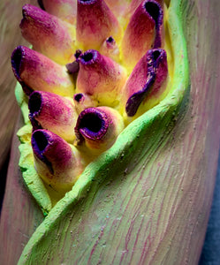 closeup image of a seedpod sculpture by meredith chernick of fern street pottery. the sculpture is made of porcelain and cold finished in bright colors with smooth hombre blends. this sculpture depicts  a seedpod's husk with small protrusions emerging from within.