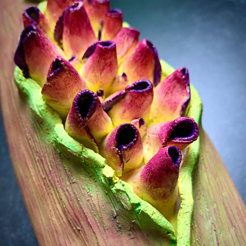 closeup image of a seedpod sculpture by meredith chernick of fern street pottery. the sculpture is made of porcelain and cold finished in bright colors with smooth hombre blends. this sculpture depicts  a seedpod's husk with small protrusions emerging from within.