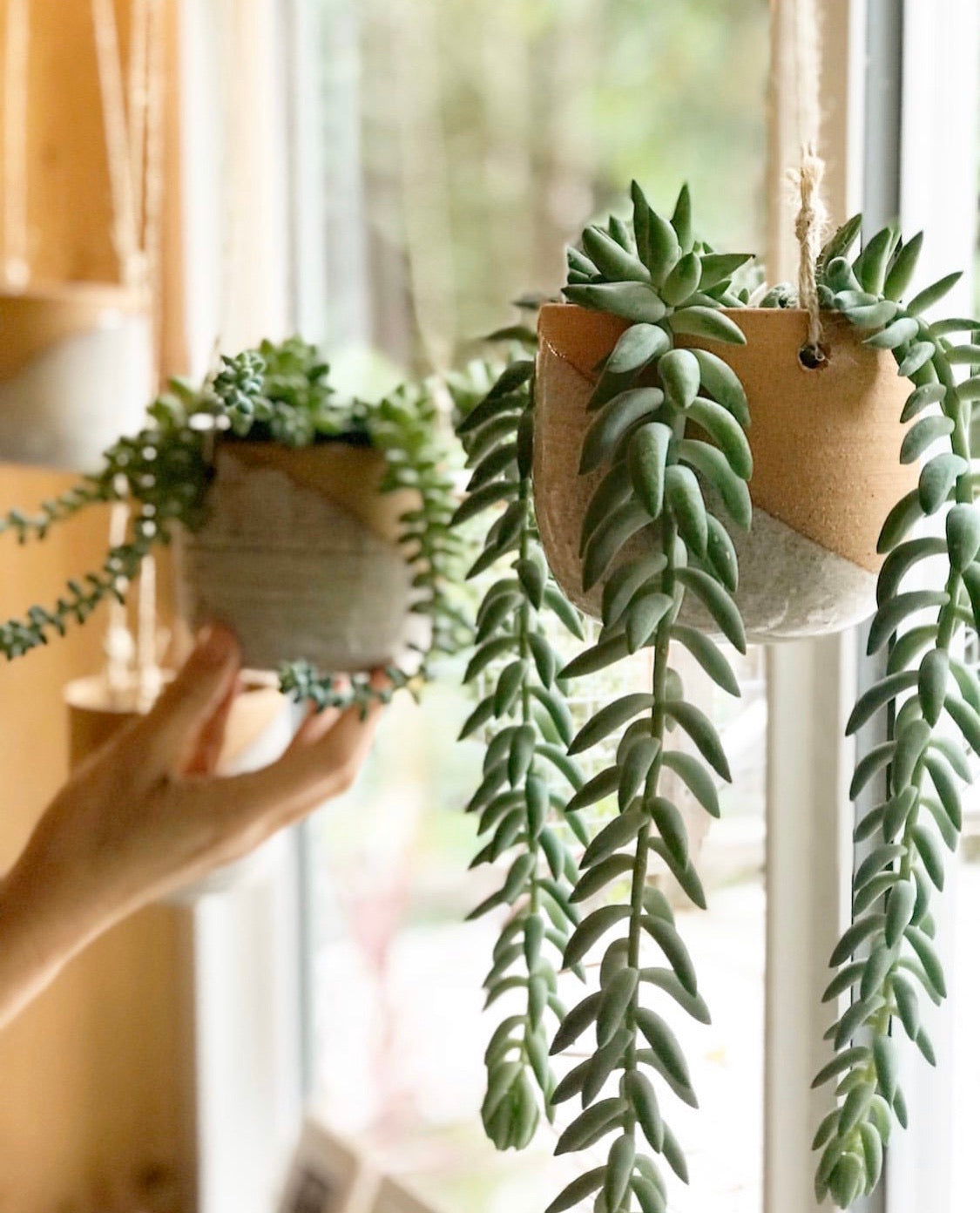 glazed hanging planter Hanging Planter Pot – Fern Street Pottery